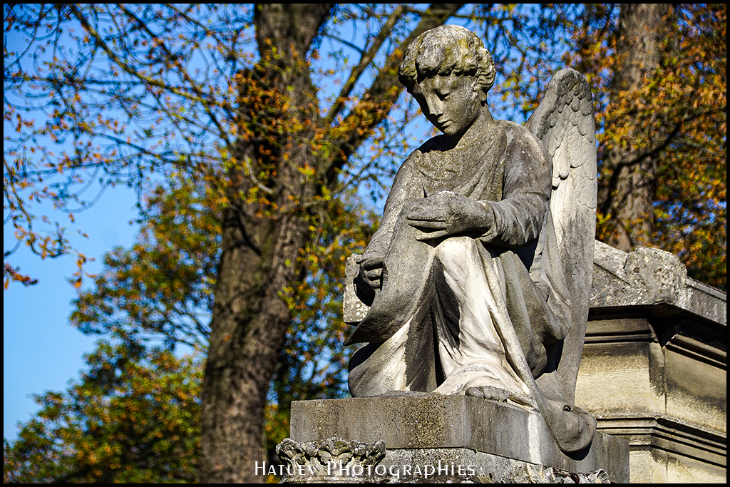 Paris, Cimetiere du Pere Lachaise , Photographies de Paris, Cemetery Graveyard Cementerio Cimitero Friedhof , Cimetiere du Pere Lachaise , Photographies de la tombe de Nicolas WASILIEWITCH DE SATINE (1833-1877) par "©Hatuey Photographies
