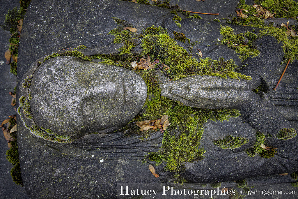 Paris, Photographies du Cimetiere du Pere Lachaise à Paris ©Hatuey Photographies, Art Funéraire, Cemetery, CemeteryPhotography, Cimetière, Cimetière du Père-Lachaise, cimitero, France, Friedhof, GISANT, graveyard, Illustration, Paris, Père-Lachaise, PereLachaisePhotographie, Photo Cimetière du Père-Lachaise, Prière, Rue:Avenue de la Cave, Rue:Avenue Feuillant, Schoelcher Victoire Jacob, Division 49,