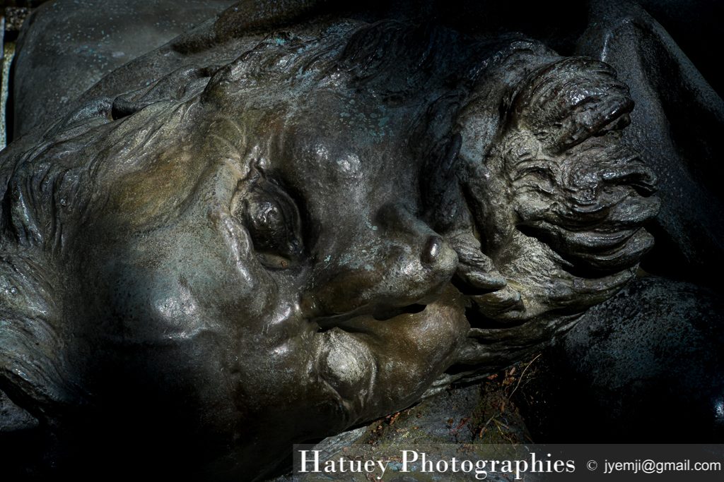 Paris, Cimetiere du Pere Lachaise , Photographies de Paris, Cemetery Graveyard Cementerio Cimitero Friedhof , Cimetiere du Pere Lachaise , Photographies de la tombe de Louis Auguste BLANQUI (1805-1881) par "©Hatuey Photographies