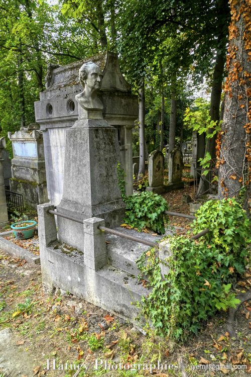 1795-1880, Amateur d'art, Art Funéraire, Bonnardel Hippolyte (Sculpteur), Cemetery, CemeteryPhotography, Cimetière, Cimetière du Père-Lachaise, Collectionneur, France, Friedhof, Illustration, Paris, PereLachaisePhotographie, Photo Cimetière du Père-Lachaise, Physique, Politique, Père-Lachaise, Rue:Chemin Laplace, Sculpteurs, Walferdin Hippolyte, cimitero, graveyard, ©Hatuey Photographies