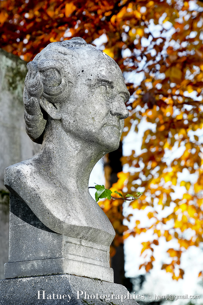 1795-1880, Amateur d'art, Art Funéraire, Bonnardel Hippolyte (Sculpteur), Cemetery, CemeteryPhotography, Cimetière, Cimetière du Père-Lachaise, Collectionneur, France, Friedhof, Illustration, Paris, PereLachaisePhotographie, Photo Cimetière du Père-Lachaise, Physique, Politique, Père-Lachaise, Rue:Chemin Laplace, Sculpteurs, Walferdin Hippolyte, cimitero, graveyard, ©Hatuey Photographies