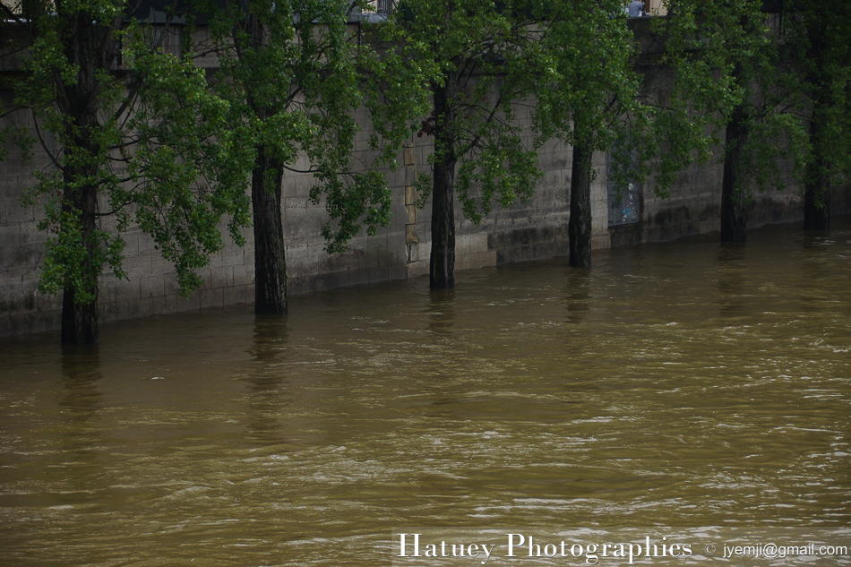 Crue de la Seine Paris juin 2016 © Hatuey Photographies