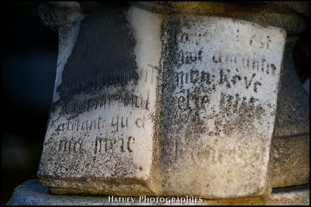 1830-1894, Art Funéraire, Automne, Buste, Buste de femme, Cementerio, Cemetery, Cemetery Photography, Cimetiere, Cimetière, Cimetière du Père-Lachaise, Cimitero, Division 91, France, Friedhof, Graveyard, Illustration, MARTELOT Pierre, Paris, PereLachaisePhotographie, Photo Cimetière du Père-Lachaise, Père-Lachaise, Rue:Chemin des Anglais, Sculpture, ©Hatuey Photographies