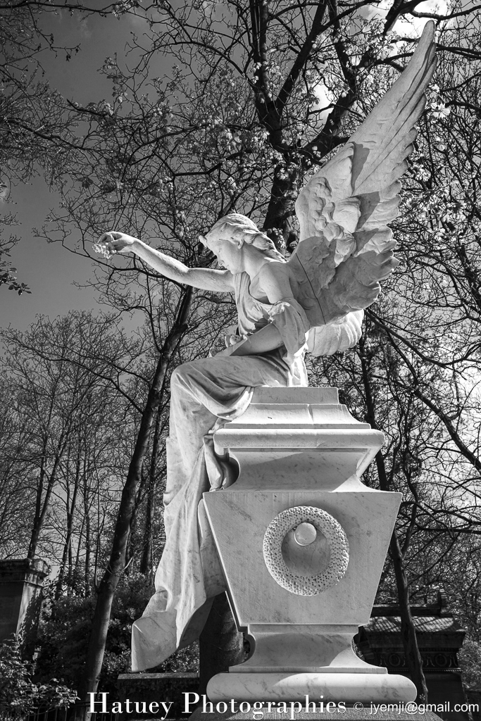 Cimetière du Père-Lachaise, Tombe de GALEZOWSKA Odette (1893-1943) "©Hatuey Photographies"

©Hatuey Photographies, Ange, Art Funéraire, Cementerio, Cemetery, CemeteryPhotography, Cimetiere, Cimetière, Cimetière du Père-Lachaise, Cimitero, Division 11, France, Friedhof, GALEZOWSKA Odette, GALEZOWSKI Xavier François (1832-1907), Graveyard, Illustration, Marbre, Paris, Père-Lachaise, PereLachaisePhotographie, Photo Cimetière du Père-Lachaise, Rue:Chemin DENON, Sculpture, Statue, Statue d'ange, TAMBERLICK Enrico (1820-1889)